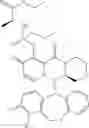 Fig. 153 - Pharmaceutical compositions containing substituted polycyclic pyridone derivatives and prodrug thereof