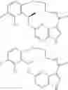 Fig. 239 - Diaryl macrocycles as modulators of protein kinases