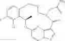Fig. 53 - Diaryl macrocycles as modulators of protein kinases
