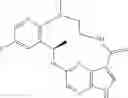 Fig. 75 - Diaryl macrocycles as modulators of protein kinases