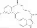 Fig. 76 - Diaryl macrocycles as modulators of protein kinases