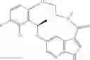 Fig. 77 - Diaryl macrocycles as modulators of protein kinases