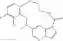 Fig. 87 - Diaryl macrocycles as modulators of protein kinases