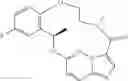 Fig. 99 - Diaryl macrocycles as modulators of protein kinases