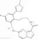Fig. 94 - Macrocycle kinase inhibitors