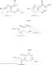 Fig. 131 - SUBSTITUTED NUCLEOSIDES, NUCLEOTIDES AND ANALOGS THEREOF