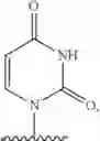 Fig. 255 - SUBSTITUTED NUCLEOSIDES, NUCLEOTIDES AND ANALOGS THEREOF