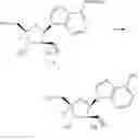 Fig. 286 - SUBSTITUTED NUCLEOSIDES, NUCLEOTIDES AND ANALOGS THEREOF