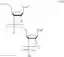 Fig. 06 - Oligonucleotide production method