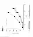 Fig. 09 - Tangential flow filtration based protein refolding methods