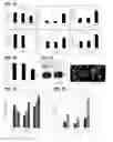 Fig. 07 - Compositions containing HC-HA/PTX3 complexes and methods of use thereof