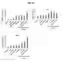 Fig. 124 - Compositions containing HC-HA/PTX3 complexes and methods of use thereof