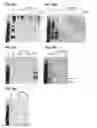 Fig. 47 - Compositions containing HC-HA/PTX3 complexes and methods of use thereof