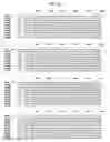 Fig. 25 - MUTANT ADENO-ASSOCIATED VIRUS VIRIONS AND METHODS OF USE THEREOF