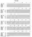Fig. 31 - MUTANT ADENO-ASSOCIATED VIRUS VIRIONS AND METHODS OF USE THEREOF
