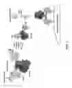 Fig. 02 - CTLA4-binding protein peptide-linker masks
