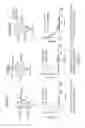 Fig. 09 - CSF1R-based chimeric proteins