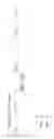 Fig. 17 - Oncolytic herpes simplex virus vectors expressing immune system-stimulatory molecules