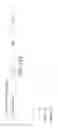 Fig. 20 - Oncolytic herpes simplex virus vectors expressing immune system-stimulatory molecules