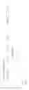 Fig. 32 - Oncolytic herpes simplex virus vectors expressing immune system-stimulatory molecules