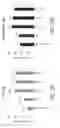 Fig. 57 - Oncolytic herpes simplex virus vectors expressing immune system-stimulatory molecules