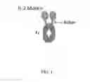 Fig. 02 - IL-2 MUTEINS AND USES THEREOF