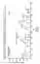 Fig. 06 - SLC45A2 PEPTIDES FOR IMMUNOTHERAPY
