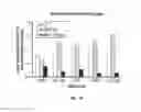Fig. 30 - SLC45A2 PEPTIDES FOR IMMUNOTHERAPY