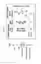 Fig. 22 - Optimized PNE-based chimeric receptor T cell switches and uses thereof
