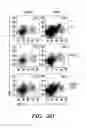 Fig. 06 - COMPOSITIONS AND METHODS FOR MODULATING AN IMMUNE RESPONSE
