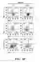 Fig. 22 - COMPOSITIONS AND METHODS FOR MODULATING AN IMMUNE RESPONSE