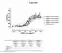 Fig. 06 - LONG LIFE POLYPEPTIDE BINDING MOLECULES