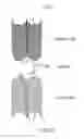 Fig. 12 - Targeting PD-L1 on tumor cells
