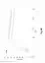 Fig. 04 - Variant antibodies that bind OX40