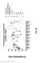 Fig. 22 - Variant antibodies that bind OX40
