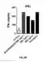 Fig. 28 - Variant antibodies that bind OX40