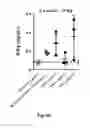 Fig. 33 - Variant antibodies that bind OX40