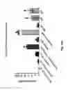 Fig. 37 - Variant antibodies that bind OX40
