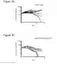 Fig. 06 - COMBINATION THERAPY COMPRISING OX40 BINDING AGONISTS AND TIGIT INHIBITORS