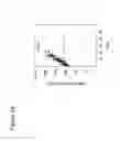Fig. 07 - COMBINATION THERAPY COMPRISING OX40 BINDING AGONISTS AND TIGIT INHIBITORS