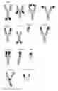 Fig. 01 - NOVEL BISPECIFIC POLYPEPTIDES AGAINST CD137