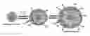 Fig. 01 - Compositions and methods for delivery of active agents