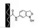 Fig. 02 - Method of crosslinking glycosaminoglycans