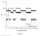 Fig. 07 - Method of crosslinking glycosaminoglycans