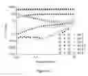Fig. 10 - Method of crosslinking glycosaminoglycans
