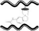 Fig. 32 - Method of crosslinking glycosaminoglycans