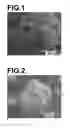 Fig. 02 - Polyamide resin molded body