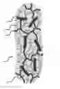 Fig. 02 - Methods for conductive adhesives based on graphene and applications thereof