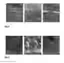 Fig. 04 - Optically upconverting liquid-filled polymeric materials