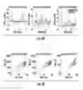 Fig. 07 - Oxygen gradient hydrogel drug screening